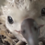 Index Of Wp Content Uploads 2014 04