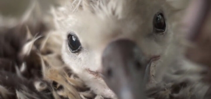 Index Of Wp Content Uploads 2014 04