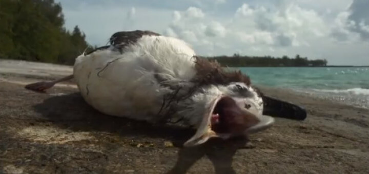 Index Of Wp Content Uploads 2014 04