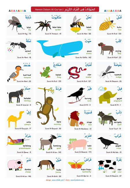 Kamus Bergambar Haiwan Dalam Bahasa Arab